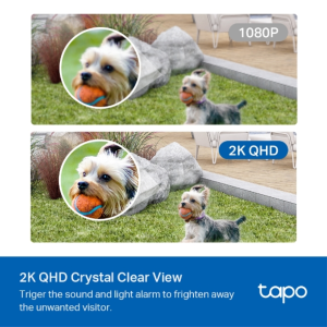 TP-Link Tapo C420S1 Smart Wire-Free Security Camera System, 1-Camera System