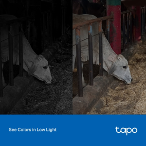 Tp-Link Tapo C320WS Outdoor Security Wi-Fi Camera