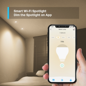 ang-copy-2025-03-03T174126.078.png TP-Link Tapo L610 Smart Wi-Fi Spotlight, Dimmable