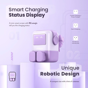 UGREEN UNO RG 65W 2C1A ROBOTGAN FAST CHARGER